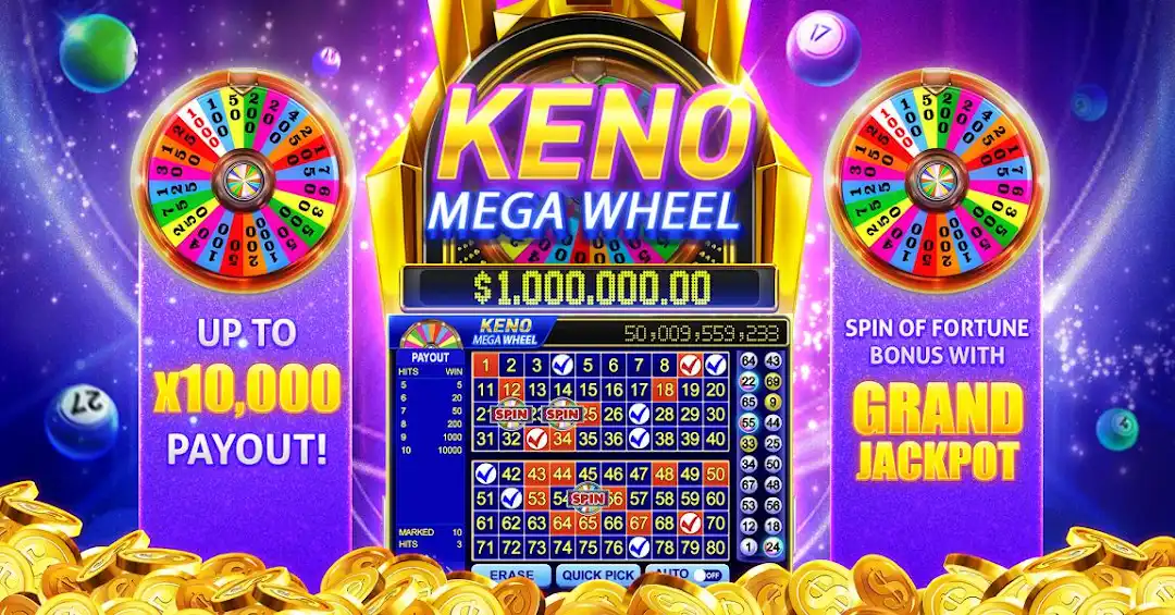 81win 4play bet cassino Android